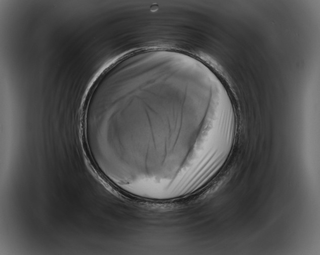 X0000084550941200703231733