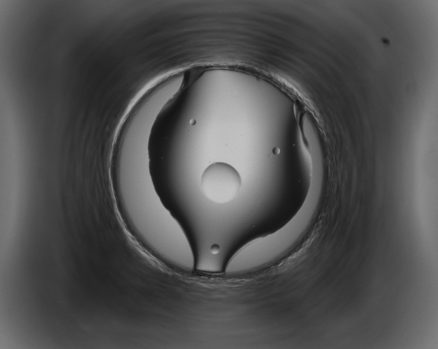 X0000084550942200703231733