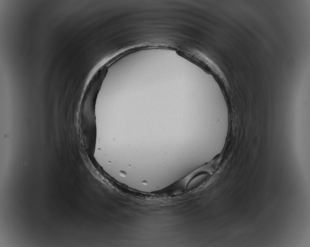 X0000084550944200703231733