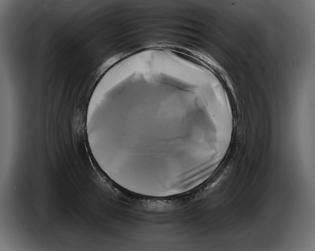 X0000084550945200703231733