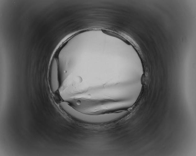 X0000084550948200703231733