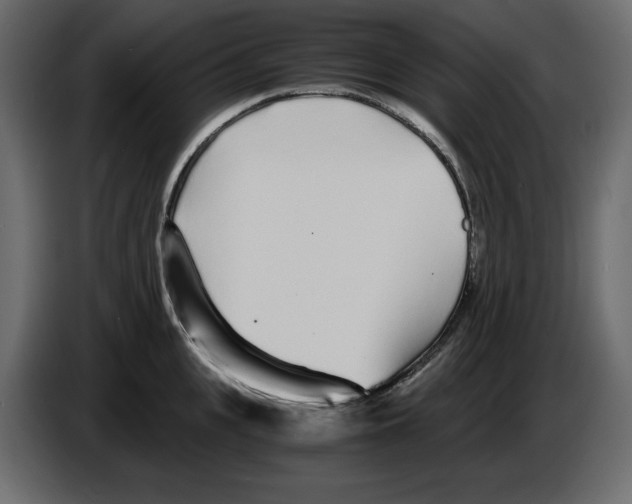 X0000084550951200703231733