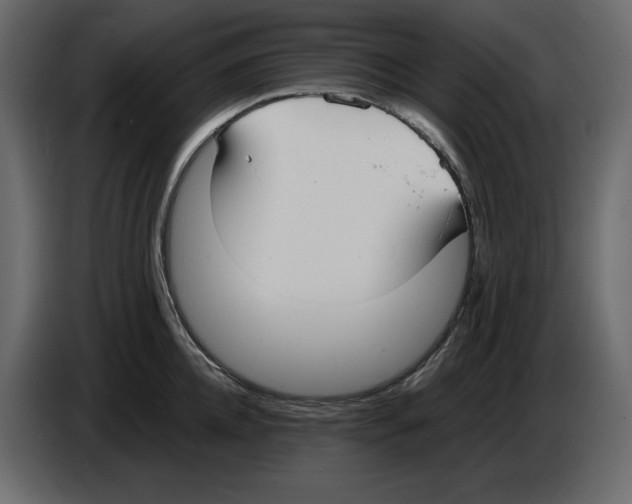 X0000084550952200703231733