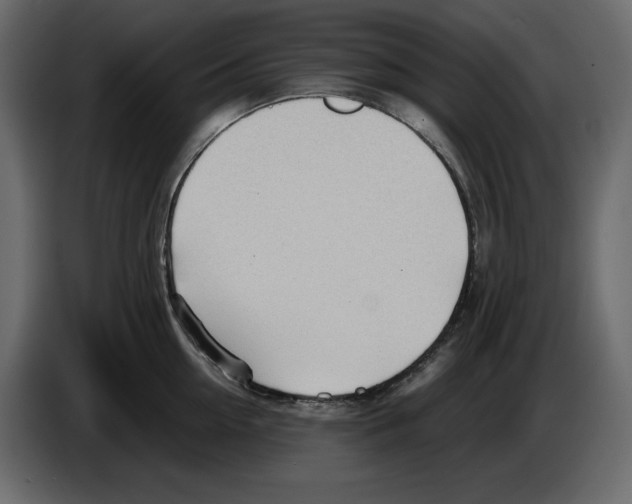 X0000084550954200703231733