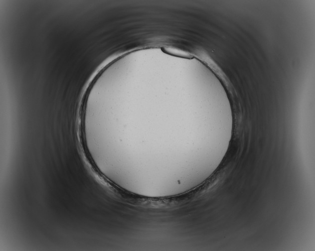 X0000084550955200703231733