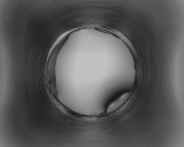 X0000084550956200703231733