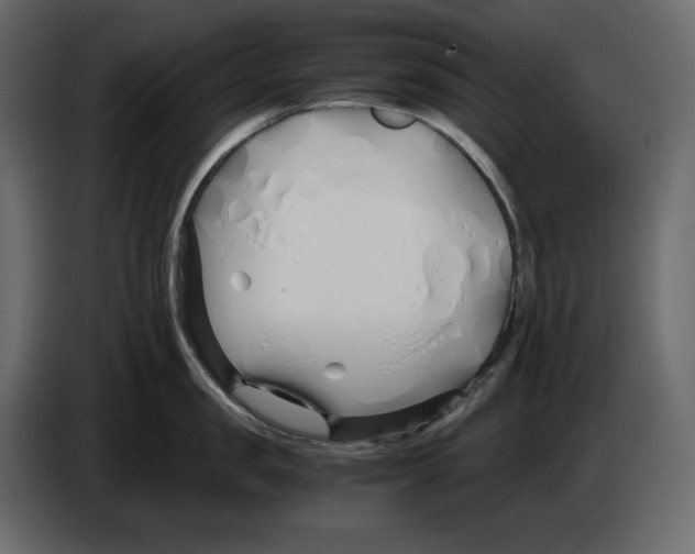 X0000084550957200703231733