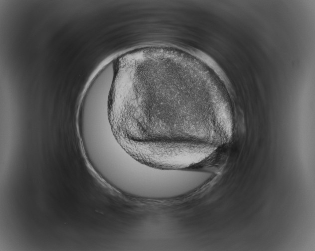 X0000084550958200703231733