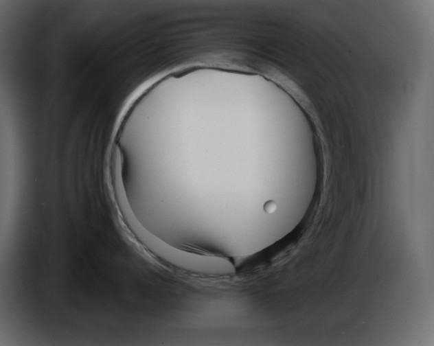 X0000084550960200703231733