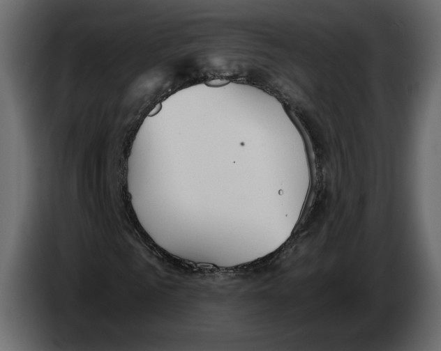 X0000084550961200703231733