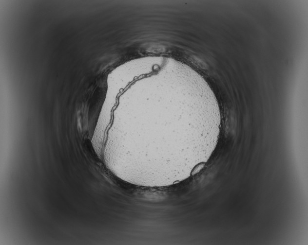 X0000084550962200703231733