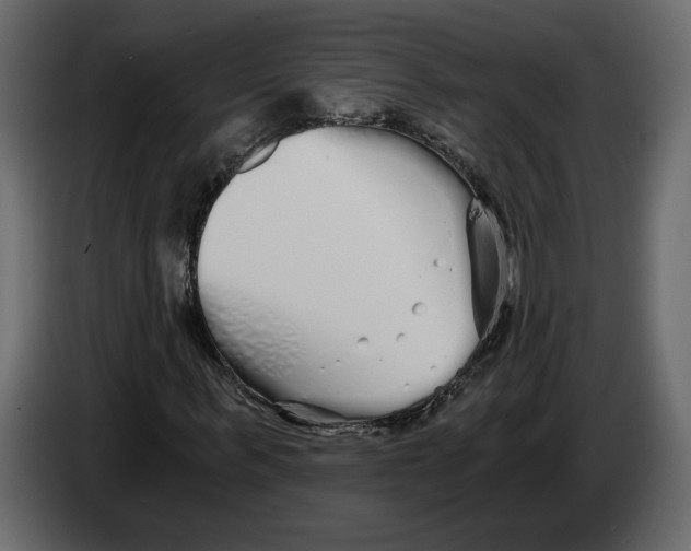 X0000084550963200703231733