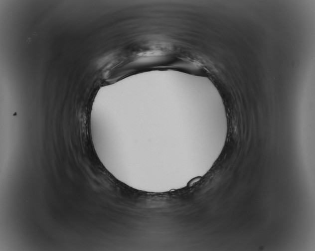 X0000084550964200703231733