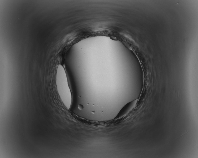 X0000084550965200703231733