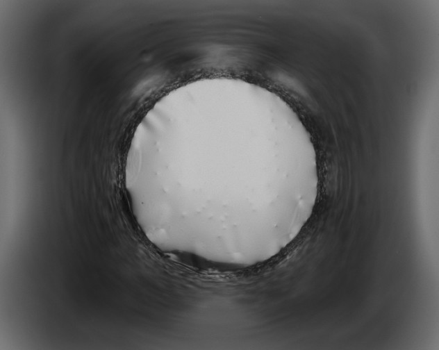 X0000084550966200703231733