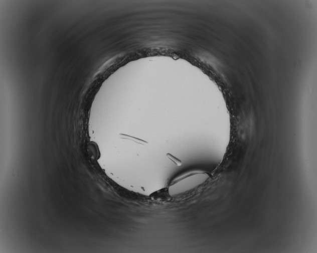 X0000084550968200703231733