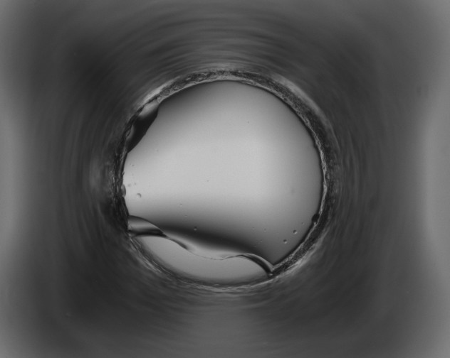 X0000084550969200703231733