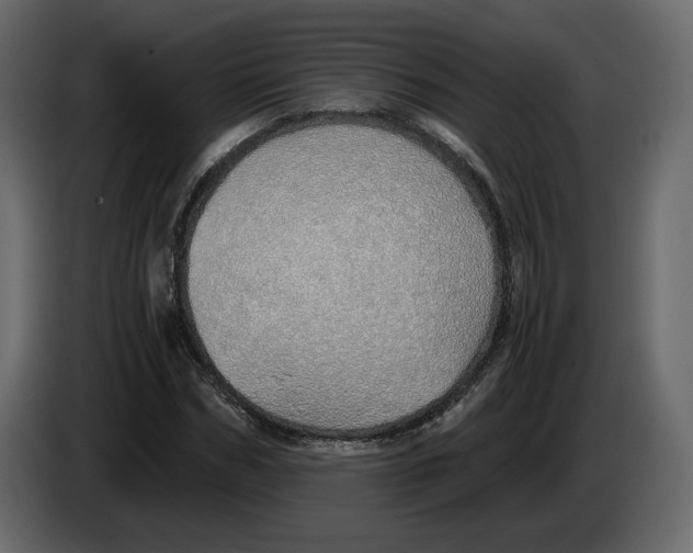 X0000084550970200703231733