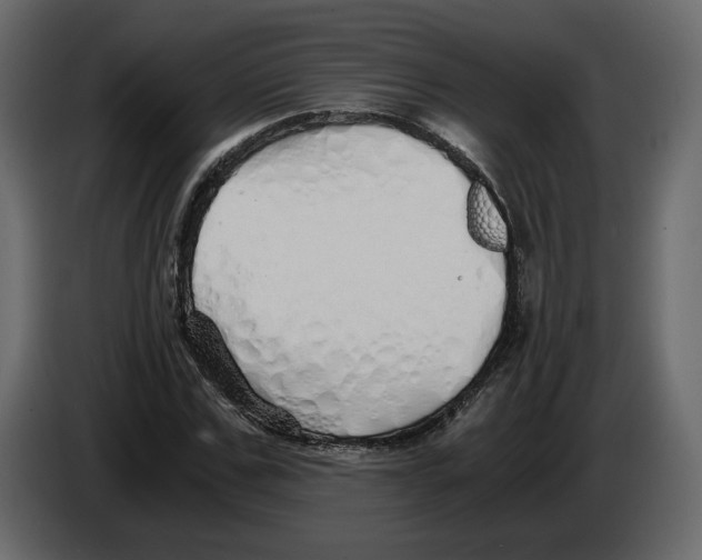 X0000084550971200703231733