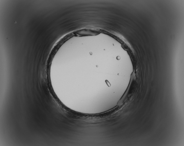 X0000084550972200703231733