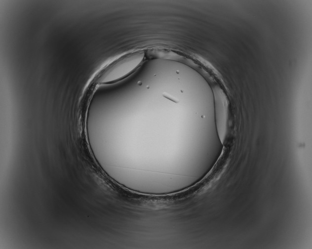 X0000084550973200703231733