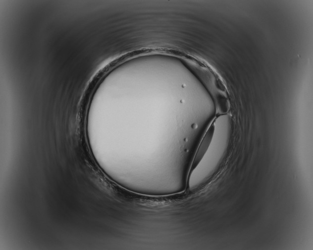 X0000084550975200703231733