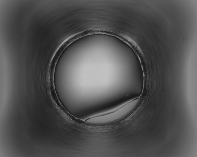 X0000084550976200703231733