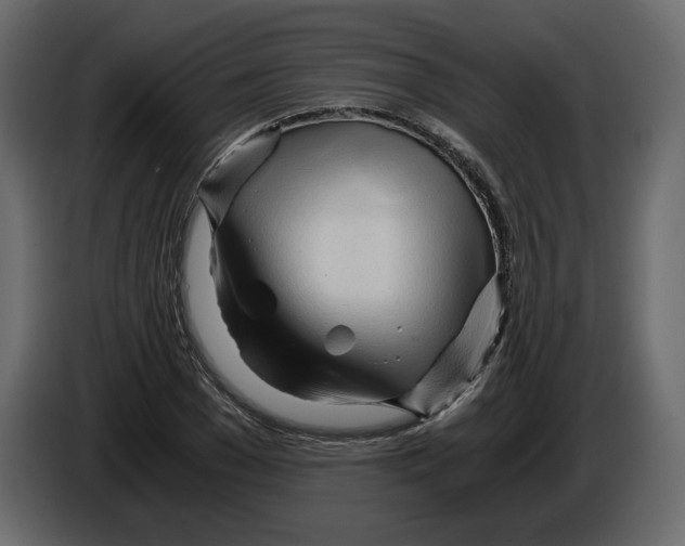 X0000084550977200703231733