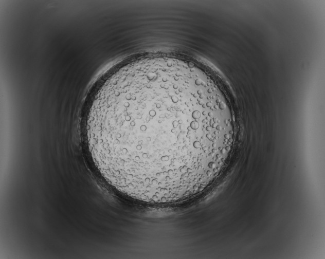 X0000084550978200703231733