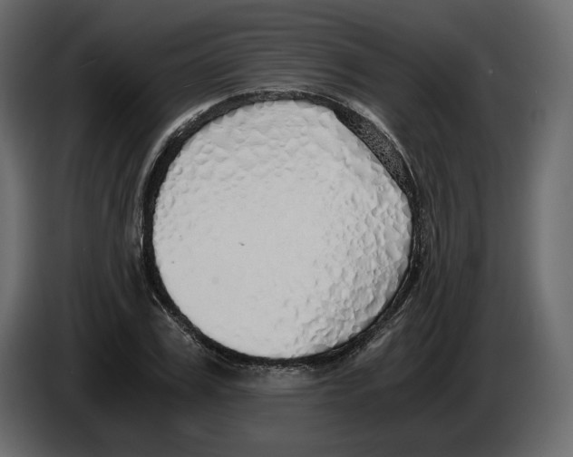 X0000084550979200703231733