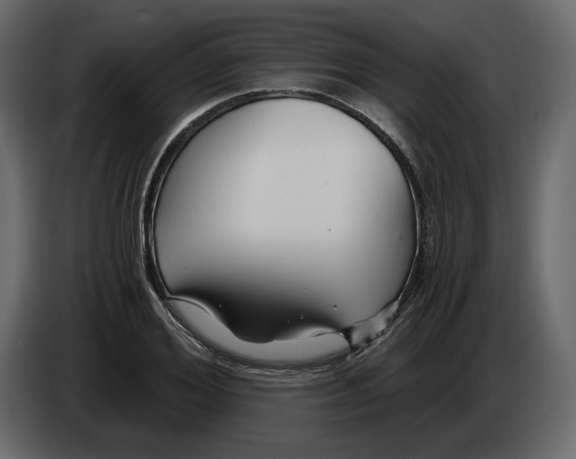 X0000084550980200703231732