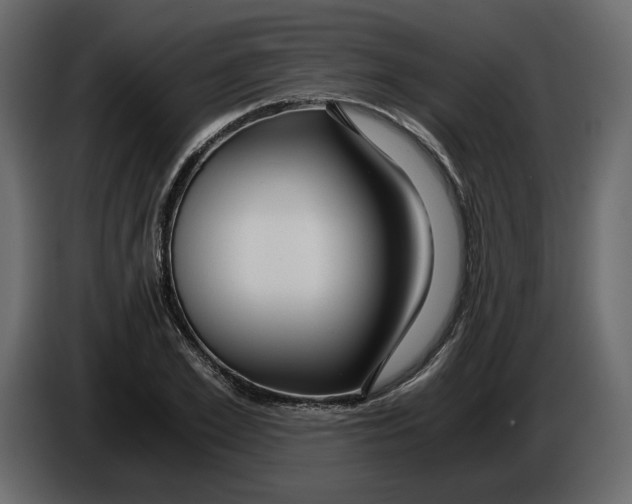 X0000084550981200703231732