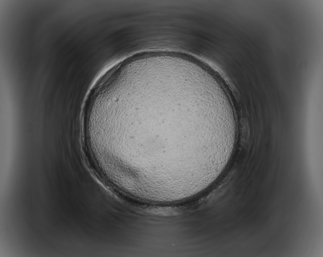 X0000084550982200703231732