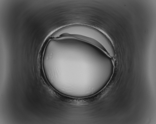 X0000084550983200703231732