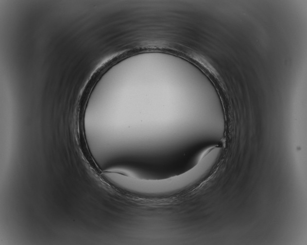 X0000084550984200703231732