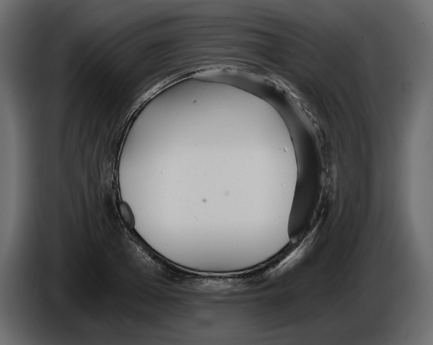 X0000084550985200703231732