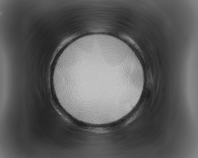 X0000084550986200703231732