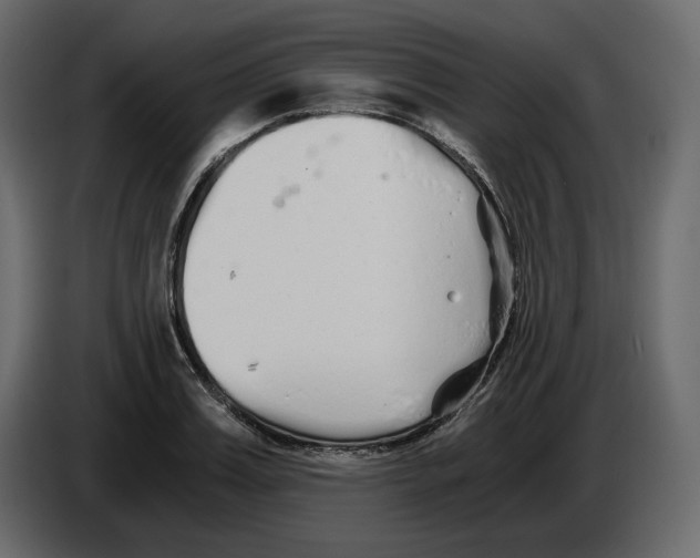 X0000084550987200703231732