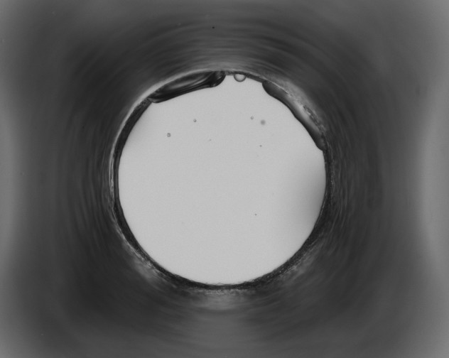 X0000084550988200703231732