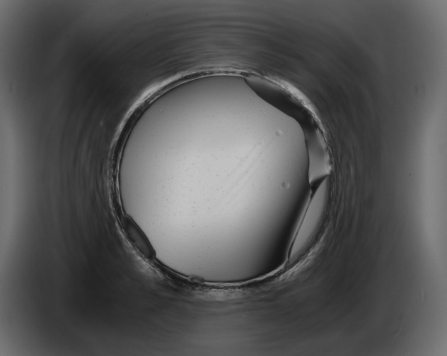 X0000084550989200703231732