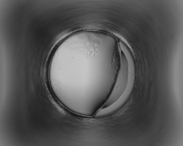 X0000084550991200703231732