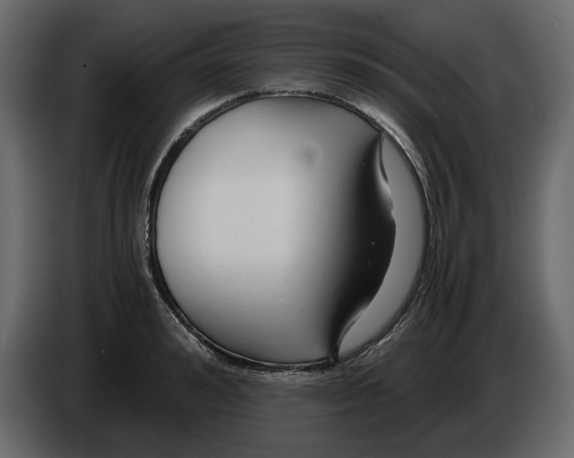 X0000084550992200703231732