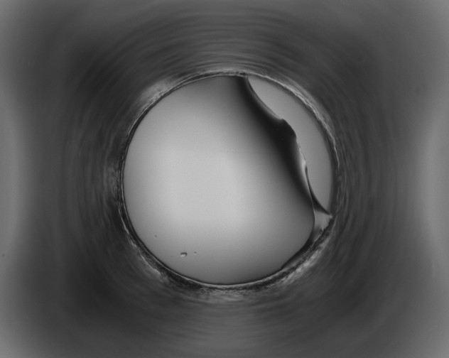 X0000084550993200703231732