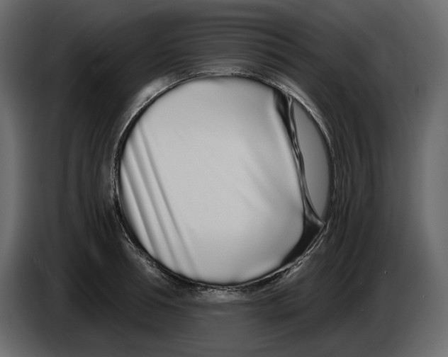 X0000084550994200703231732