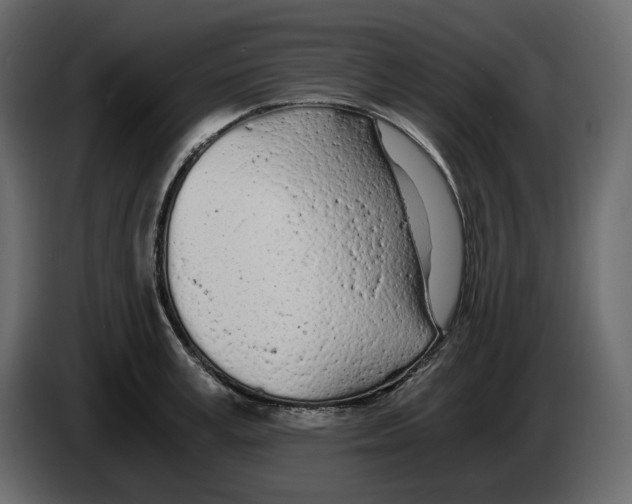 X0000084550995200703231732