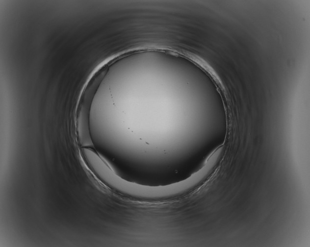 X0000084550996200703231732