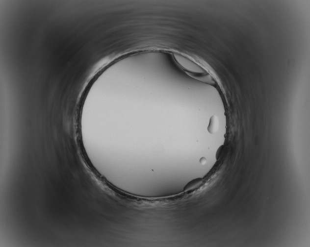 X0000084550997200703231732