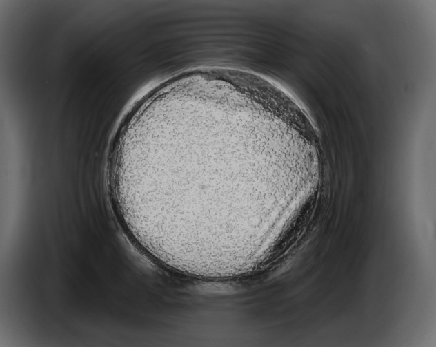 X0000084550998200703231732