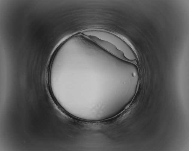 X0000084550999200703231732