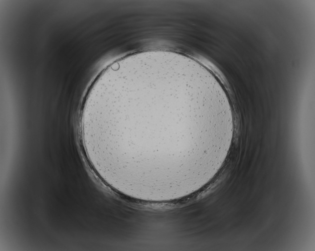 X0000084551000200703231732